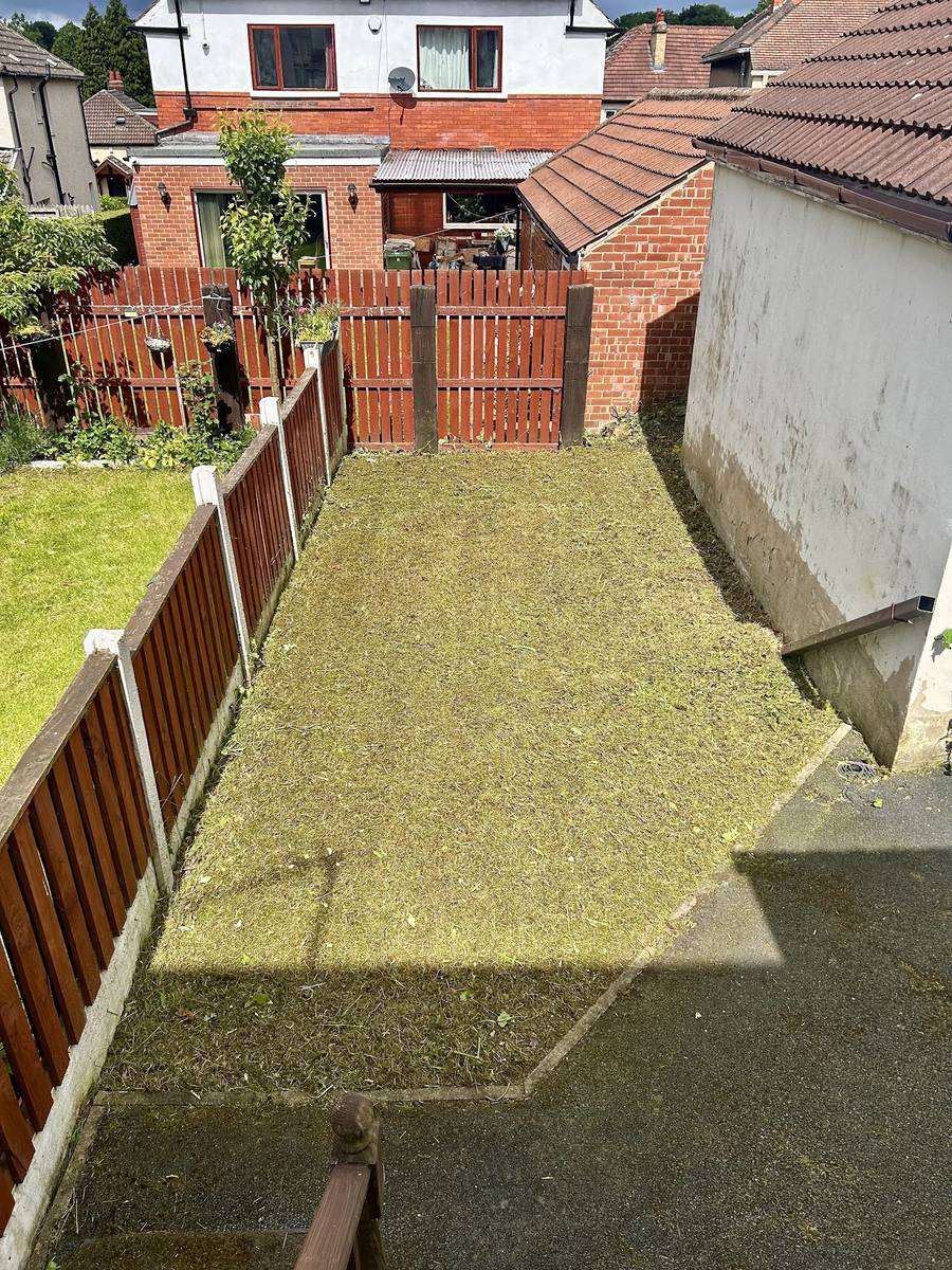 A garden cleared of chest-high overgrowth